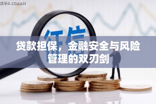 霍城贷款担保，金融安全与风险管理的双刃剑