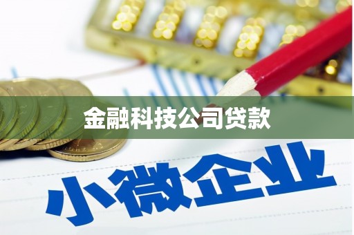定日金融科技公司贷款