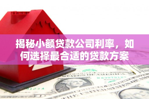 左云揭秘小额贷款公司利率，如何选择最合适的贷款方案