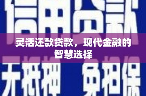 秀林灵活还款贷款，现代金融的智慧选择