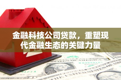 于田金融科技公司贷款，重塑现代金融生态的关键力量