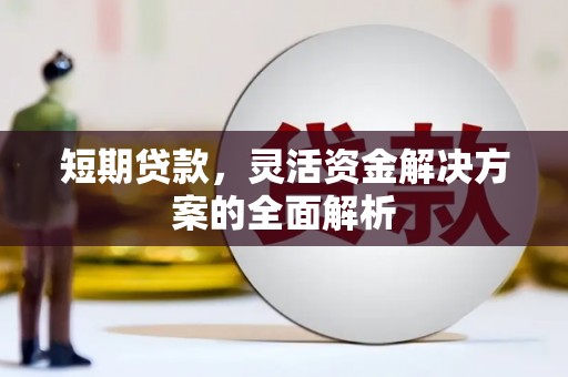 仁寿短期贷款，灵活资金解决方案的全面解析