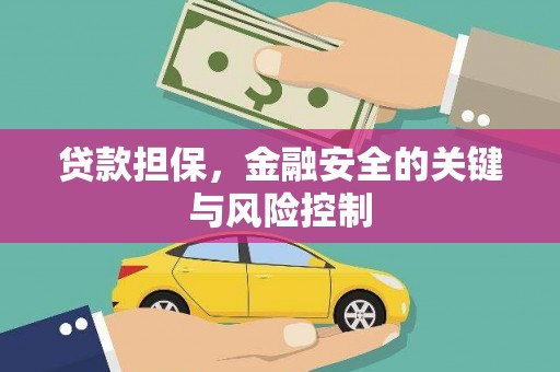 瑞金贷款担保，金融安全的关键与风险控制