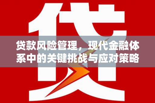 乐陵贷款风险管理，现代金融体系中的关键挑战与应对策略