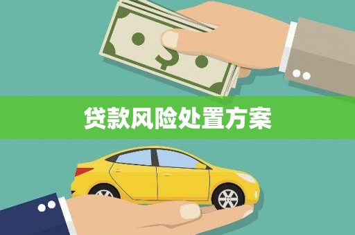 嘉荫贷款风险处置方案