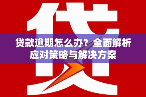 宁海贷款逾期怎么办？全面解析应对策略与解决方案