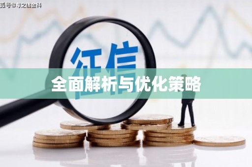 袁州全面解析与优化策略