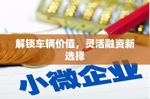 东安解锁车辆价值，灵活融资新选择