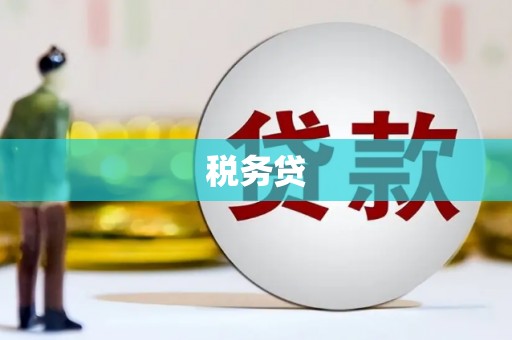 儋州税务贷