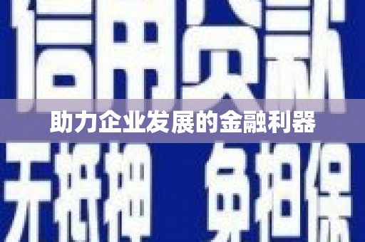 玛曲助力企业发展的金融利器