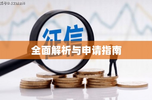 武义全面解析与申请指南