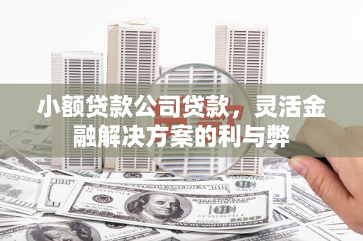 馆陶小额贷款公司贷款，灵活金融解决方案的利与弊